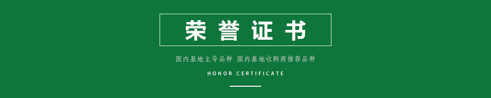 01honor certificate.jpg