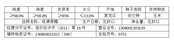 黑紫色中熟糯玉米