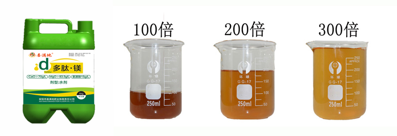 多肽镁水溶性展示