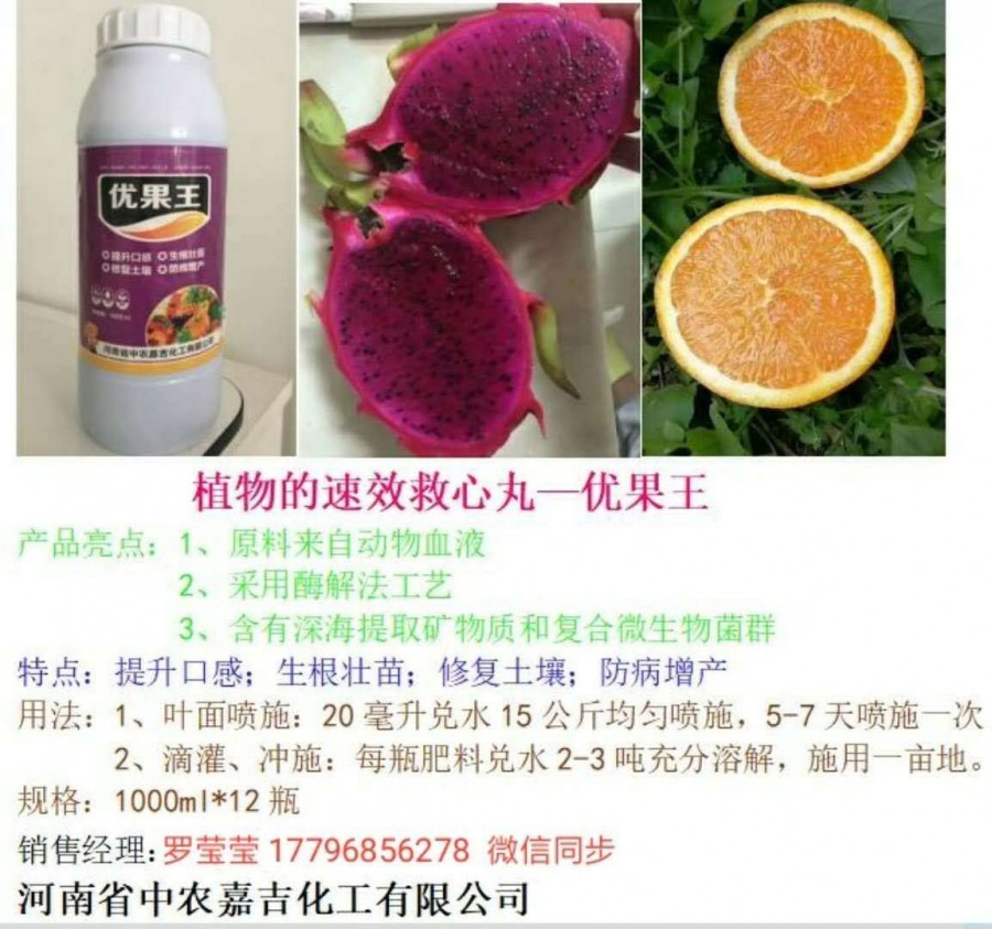 柑橘膨果专用肥 柑橘膨果用什么肥好 膨果增甜好肥料