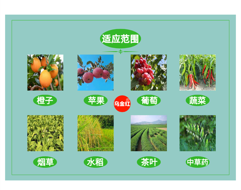 èæ¤é¸é¾çç¶éç¨èå´88å ä¹éçº¢.jpg