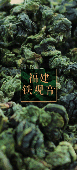 福建铁观音茶树专用生物有机肥