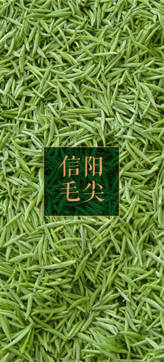 信阳毛尖茶树专用生物有机肥