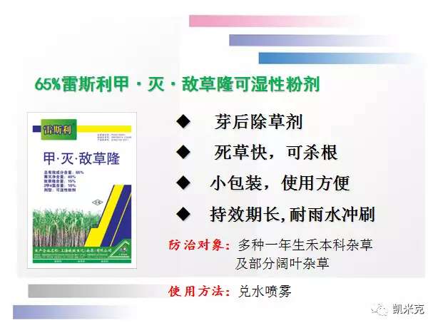广西凯米克农业技术服务有限公司