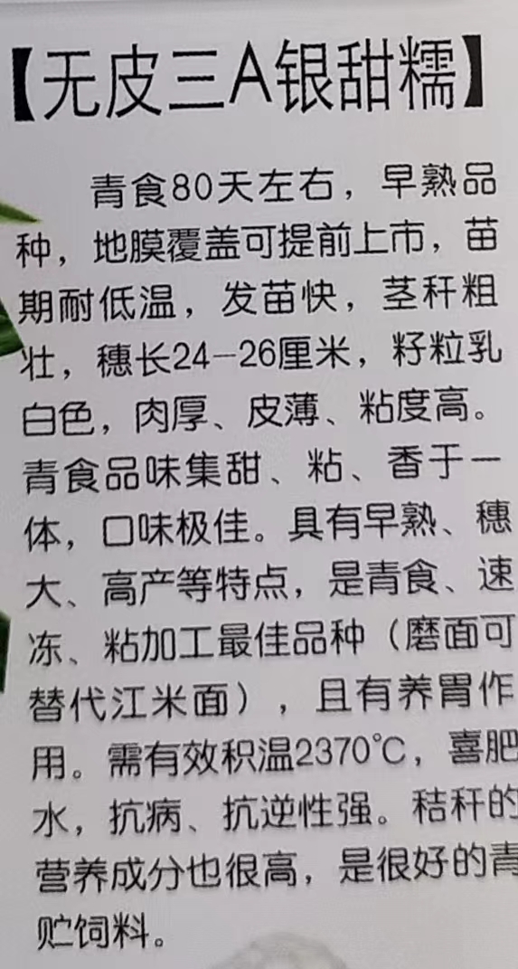 微信图片_20240320111019.jpg