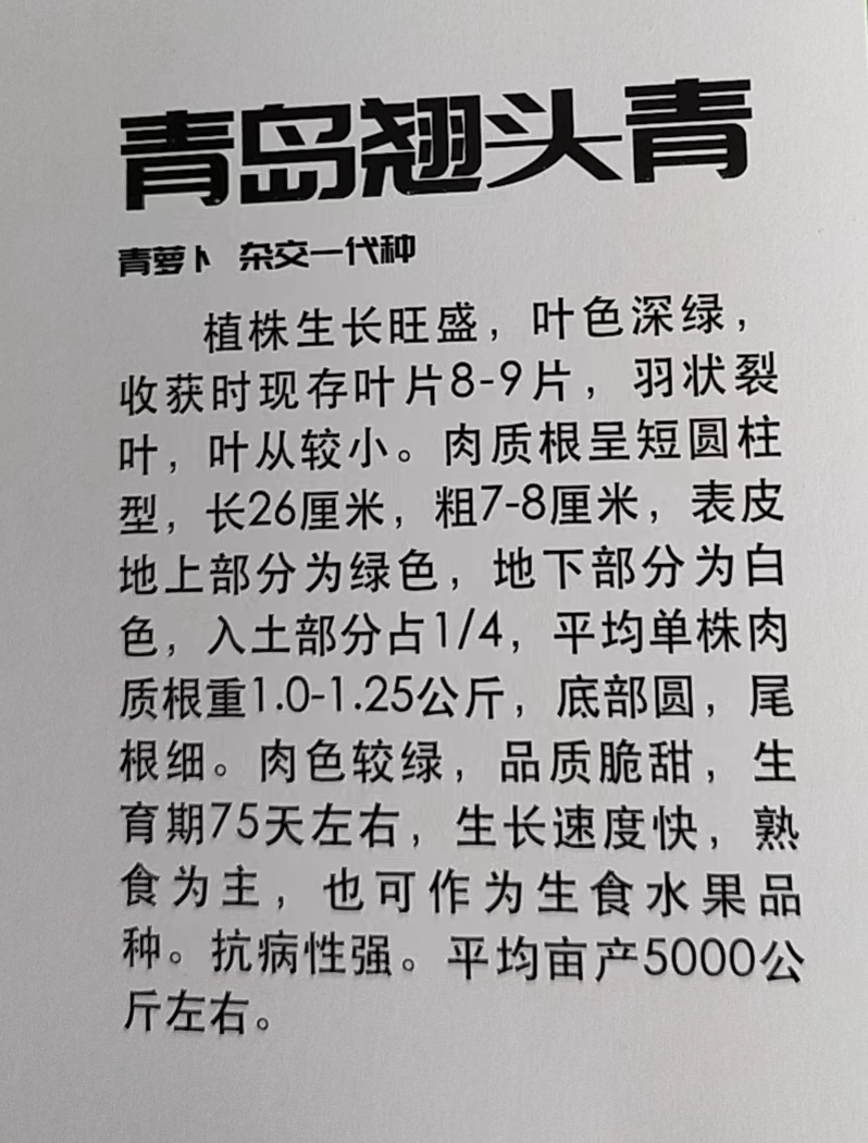 微信图片_20240412141303.jpg