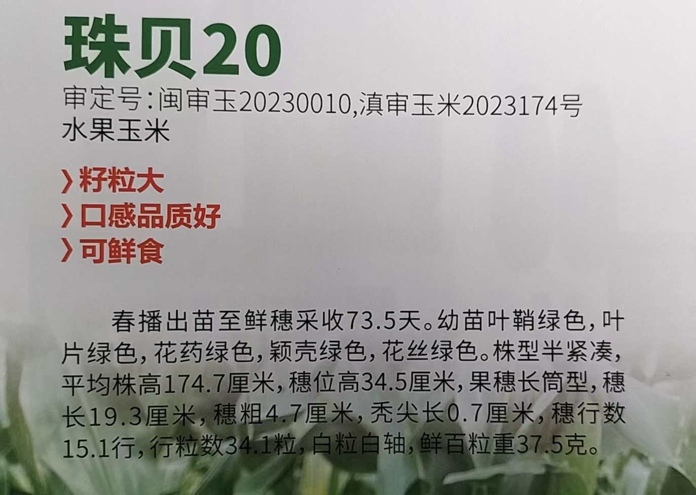 微信图片_20240422140610.jpg